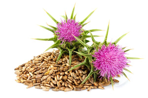 Milk Thistle Supplement