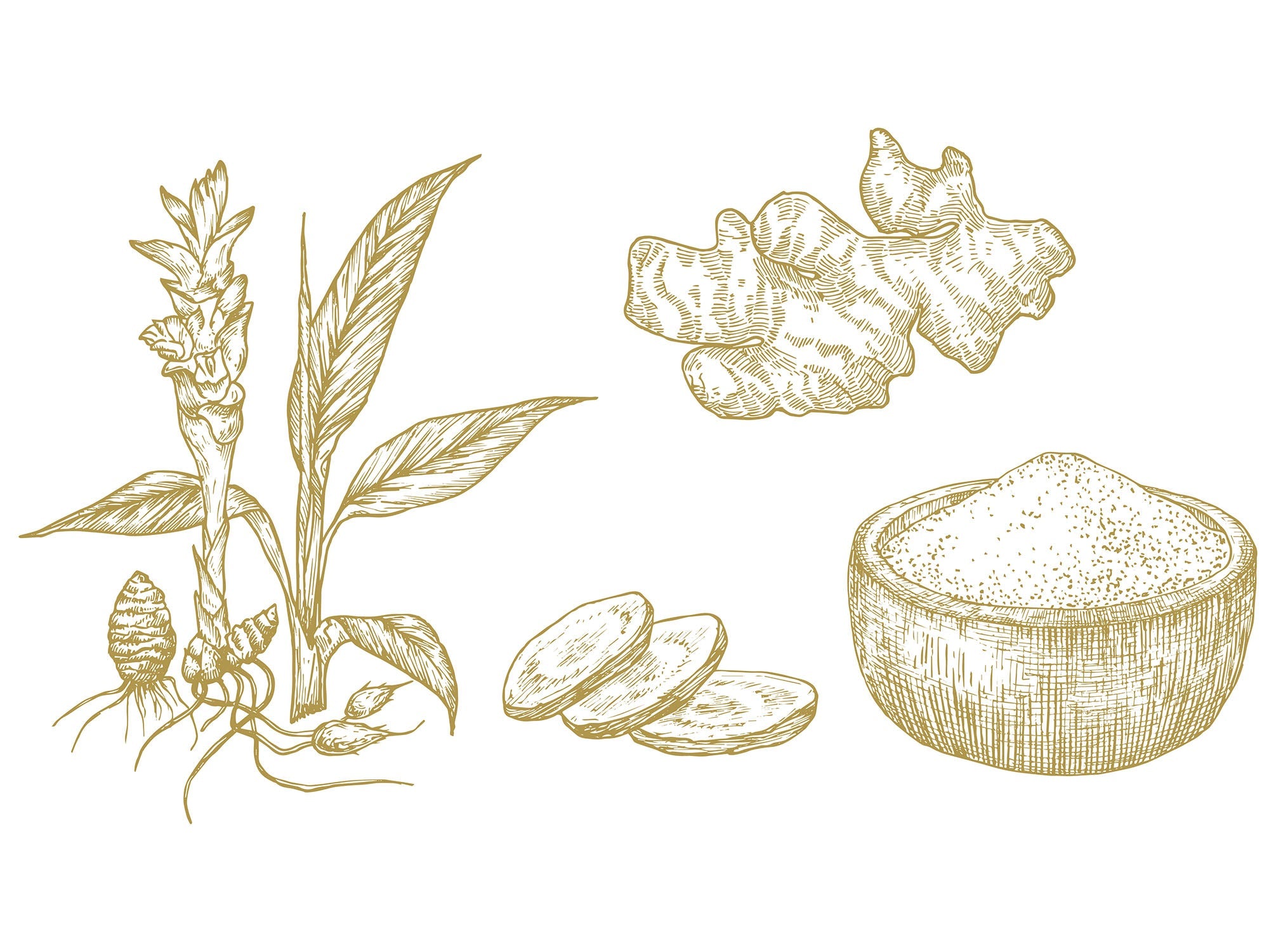 Turmeric Curcumin Supplement