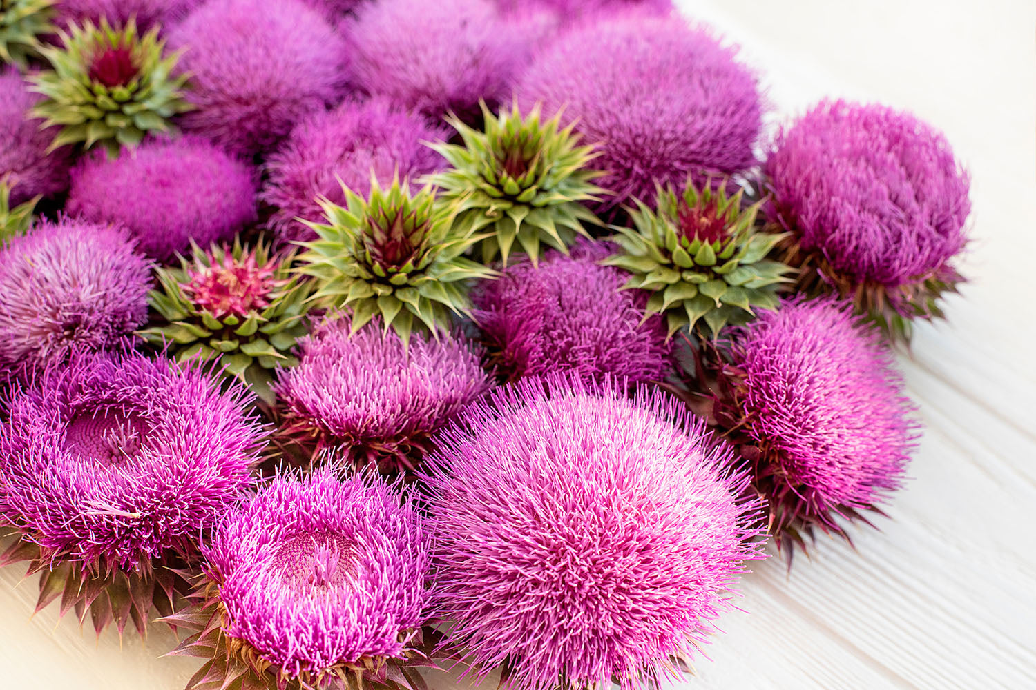 Milk Thistle: A Comprehensive Herbal Supplement for Liver Health by FarmHaven